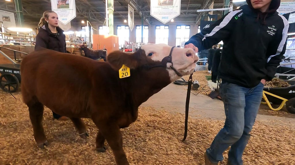 Spotlight on beef as Minnesota midterms near — WCCO / CBS Minnesota, Stillwater Community news