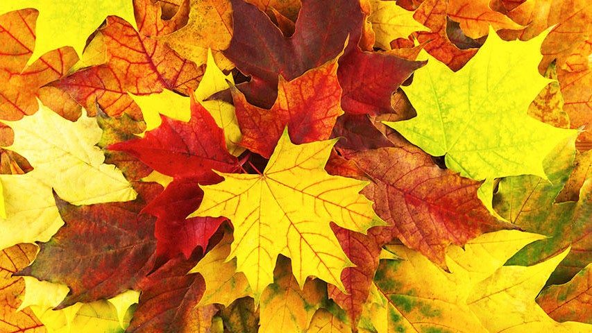 Cooler, quieter fall weather returns Tuesday in the Twin Cities — WCCO / CBS Minnesota, Stillwater Community news