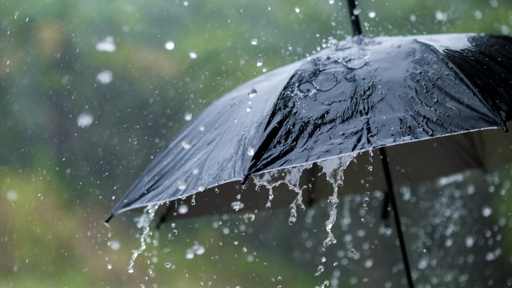 Widespread rain in Minnesota Monday; milder air returns Tuesday — WCCO / CBS Minnesota, Stillwater Community news