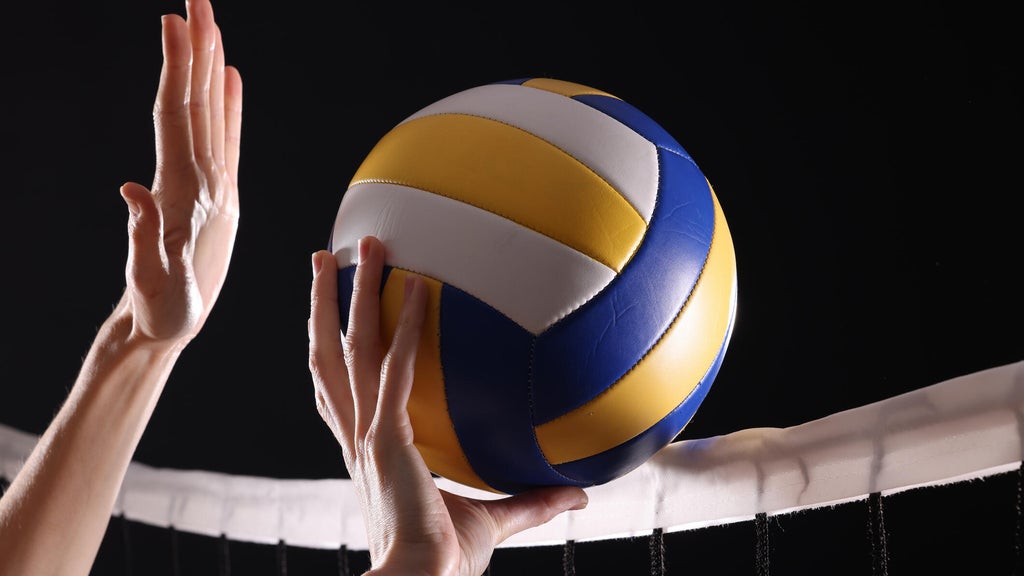 SeatGeek's first volleyball partner is the Minnesota Forge in a multiyear deal — WCCO / CBS Minnesota, Stillwater Business news