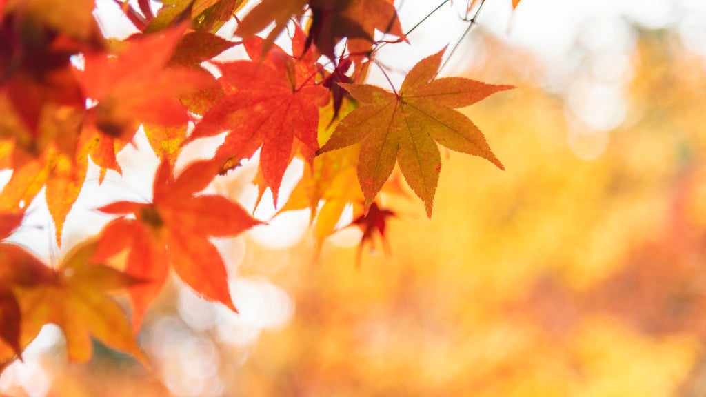More sunny, mild late October weather in Minnesota Tuesday — WCCO / CBS Minnesota, Stillwater Business news