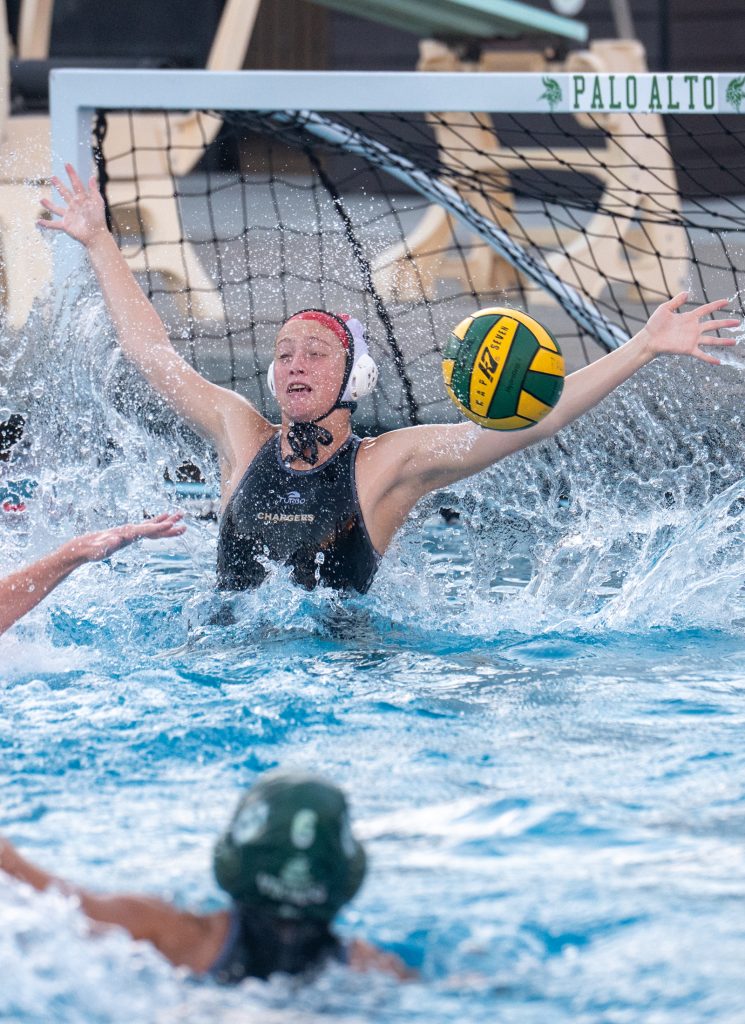 Wilcox Water Polo Caught in Vikings Rip Current — Silicon Valley Voice, Stillwater Sports news