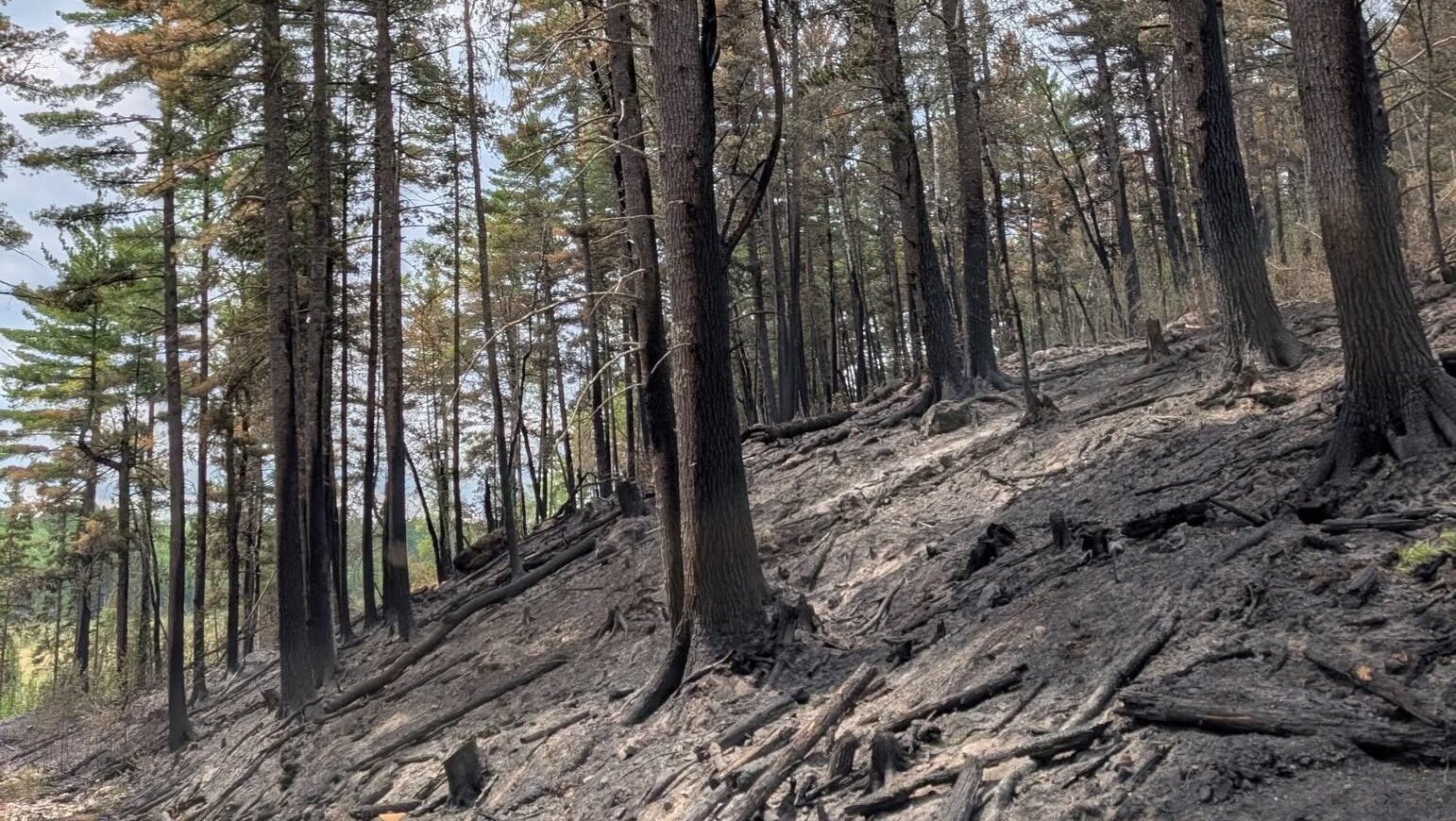 74-year-old who became separated from his family on a trail in Ely was discovered dead — KSTP 5, Stillwater Community news