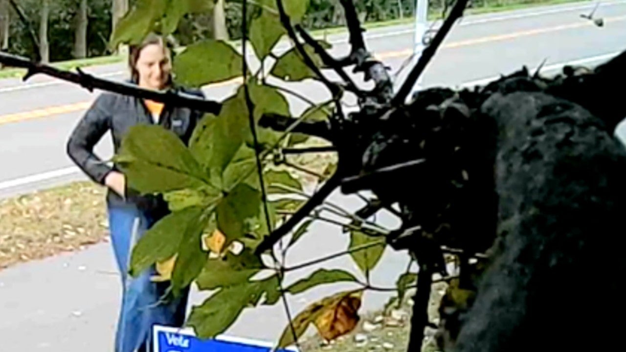 Video: Vadnais Heights council member removes mayoral candidate’s campaign sign, tosses it aside — KSTP 5, Stillwater Real Estate news