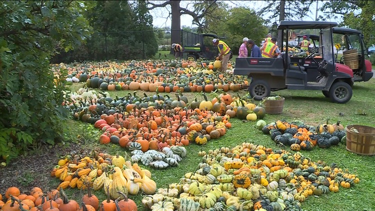 Pumpkin 101: Best to cook, carve & display — KARE 11 Local, Stillwater Community news