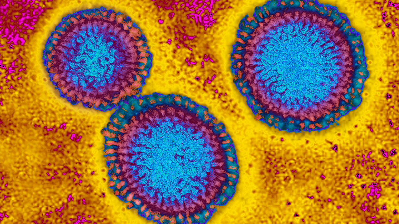 Flu hospitalizations 'slightly higher' than usual, officials urge vaccinations — FOX 9, Stillwater Health news