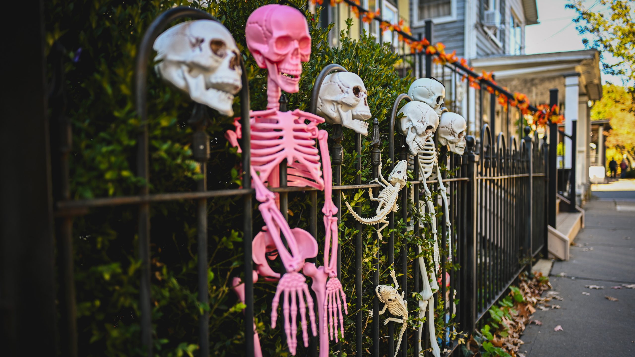 America's best cities for Halloween, ranked — FOX 9, Stillwater Community news