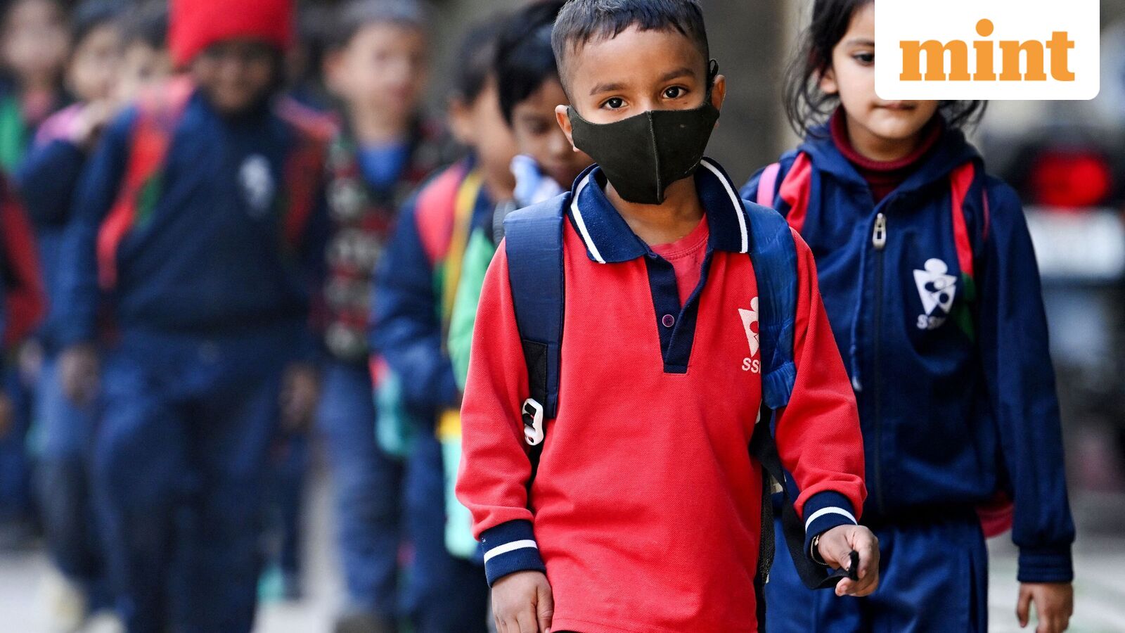 Chennai school holiday, Oct 21: Schools shut in four Tamil Nadu districts as heavy rains predicted | Check IMD alert — Mint India, Stillwater Schools news